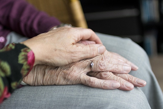 christmas wallpaper, hands, old, old age, elderly, vulnerable, care, old person, happy mothers day, self-reliance, help, health, seniors, mother, daughter, family, love, mom, grandmother, grandparents
